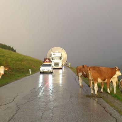 Transportbegleitungsservice - Gesellschaft m.b.H.
